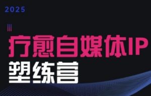 2025治愈自媒体IP训练营，专为疗愈领域从业者打造-沐风资源库