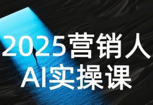 2025营销人Al实操课，AI营销抢跑实战，从Prompt到方案，效率碾压同行-沐风资源库