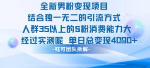 全新男粉变现项目引流人群35以上的男粉消费能力大 经过实测单日变现1k+-沐风资源库