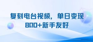 复刻电台视频，单日变现8张+新手友好，长期可做-沐风资源库