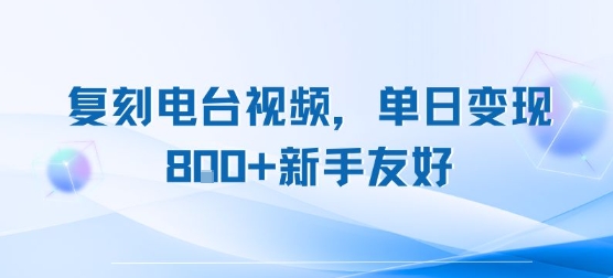 复刻电台视频，单日变现8张+新手友好，长期可做-沐风资源库