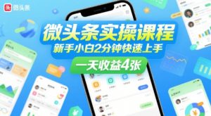 微头条实操课程，新手小白2分钟快速上手，一天收益4张-沐风资源库