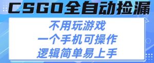 CSGO自动捡漏项目，最新独家玩法，不用挂G不用玩游戏，一个手机即可操作，新手小白轻松月入1W+【揭秘】-沐风资源库