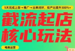 淘宝截流快速起店玩法，掌握暴力快速起店的流程，5天完成上架-推广-出单闭环-沐风资源库