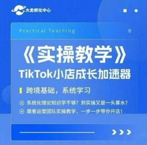 大卖家孵化中心TikTok实操课，TikTok小店成长加速器，跨境基础系统学习，一步一步带你开店-沐风资源库