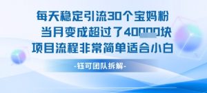 每天稳定引流30个人 当月变成超过了4个W项目流程非常简单适合小白-沐风资源库