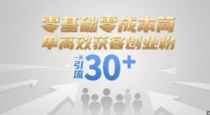 零基础零成本简单高效获客创业粉，一天引流30+-沐风资源库