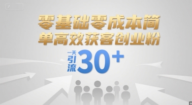 零基础零成本简单高效获客创业粉，一天引流30+-沐风资源库