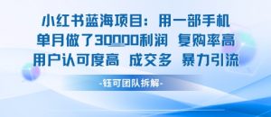 小红书蓝海项目，一部手机单月做了3W利润，小白也能月入过1W用户认可度高成交多-沐风资源库