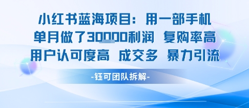 小红书蓝海项目，一部手机单月做了3W利润，小白也能月入过1W用户认可度高成交多-沐风资源库
