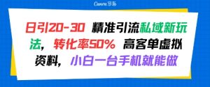 日引 20-30 精准引流私域新玩法，转化率50% 高客单虚拟资料，小白一台手机就能做-沐风资源库