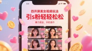 四开屏美女视频玩法，引s粉轻轻松松，暴力掘金，手机操作【揭秘】-沐风资源库