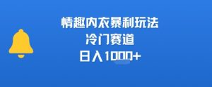 情趣内衣暴利玩法，冷门赛道，日入1k+-沐风资源库