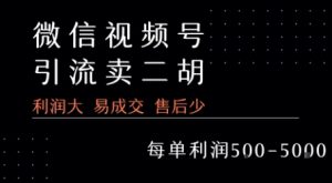 视频号卖二胡教程，利润大 易成交 售后少，一单利润5张+-沐风资源库