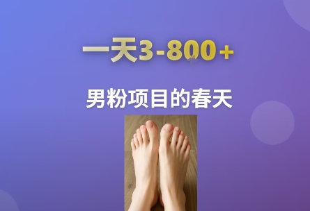 AI一键生成美女素材，一天收益3-8张，男粉项目的春天-沐风资源库