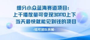 小众蓝海赛道项目：当天变现1k+适合新手操作 +适合长期玩-沐风资源库