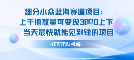 小众蓝海赛道项目：当天变现1k+适合新手操作 +适合长期玩-沐风资源库