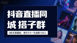 抖音直播同城搭子群，0粉无需露脸，单价19.9，一天进群100人-沐风资源库