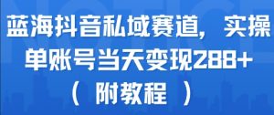 蓝海抖音私域赛道，实操单账号当天变现288+(附教程)-沐风资源库