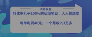 转化率最高的私域项目，每单利润40-50米，月入过1w-沐风资源库