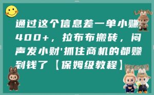 通过这个信息差一单小挣4张+，拉布布搬砖，闷声发小财抓住商机的都挣到钱了【保姆级教程】-沐风资源库