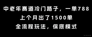 中老年赛道冷门路子，一单788，上个月出了1500单，全流程玩法，保底模式【揭秘】-沐风资源库