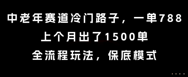 中老年赛道冷门路子，一单788，上个月出了1500单，全流程玩法，保底模式【揭秘】-沐风资源库