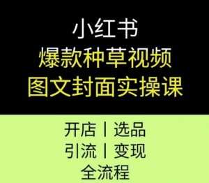 小红书爆款种草视频图文封面实操课，开店、选品、引流、变现全流程-沐风资源库