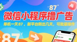 微信小程序看广告，单机一天87，新平台刚出几天，可批量操作，日入5张-沐风资源库