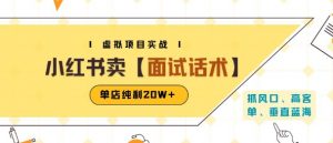 小红书虚拟项目掘金，卖面试话术资料，单店纯利20W+(附爆款笔记制作方法)-沐风资源库