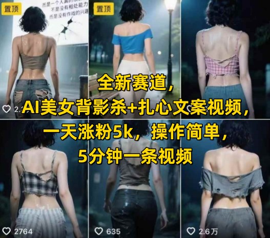 全新赛道，AI美女背影杀+扎心文案视频，一天涨粉5k，操作简单，5分钟一条视频-沐风资源库