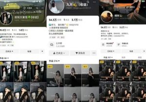 抖音图文文案赛道新玩法，快速养号起号，广告收益分成+橱窗带货+教学收徒等-沐风资源库