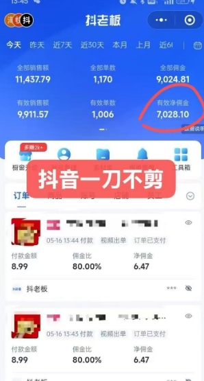 抖音短视频一刀不剪带货，不剪辑，不直播，每天发个视频，等着出单获取带货佣金-沐风资源库