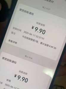 二次元男粉快速变现项目，私域卖虚拟产品，百分利润-沐风资源库