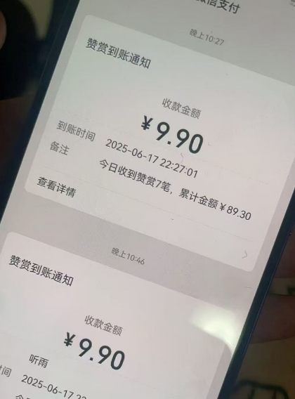二次元男粉快速变现项目，私域卖虚拟产品，百分利润-沐风资源库