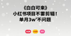 小白可来 小红书项目不需要剪辑 单月3w不是问题-沐风资源库