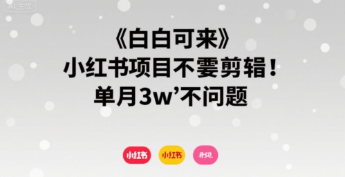 小白可来 小红书项目不需要剪辑 单月3w不是问题-沐风资源库