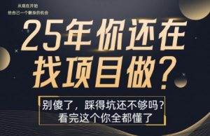 25年，你还在疯狂的找项目吗？别傻了，看完这个你都懂了【揭秘】-沐风资源库