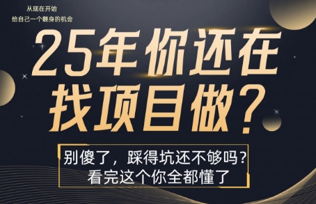 25年，你还在疯狂的找项目吗？别傻了，看完这个你都懂了【揭秘】-沐风资源库