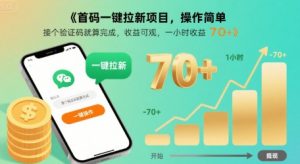 首码一键拉新项目，操作简单，接个验证码就算完成，收益可观， 一小时收益70+【揭秘】-沐风资源库