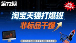 淘宝天猫打爆班原创高阶技术第72期，非标品干爆-沐风资源库