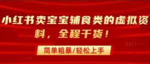 小红书卖宝宝辅食类的虚拟资料，从引流到私域变现，全程干货，简单粗暴，轻松上手-沐风资源库