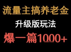 流量主之养老金升级版玩法  爆一篇收益1k+-沐风资源库