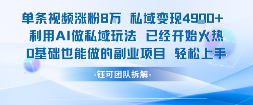 单条视频私域变现4.9k+利用AI做私域玩法 已经开始火热0基础也能做的副业项目轻松上手-沐风资源库