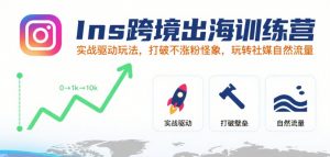 Ins跨境出海训练营，实战驱动玩法，打破不涨粉怪象，玩转社媒自然流量-沐风资源库