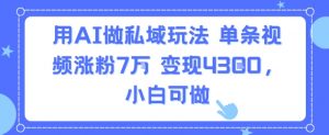 用AI做私域玩法，单条视频涨粉7W变现4.3k，小白可做-沐风资源库