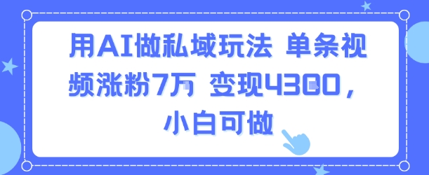 用AI做私域玩法，单条视频涨粉7W变现4.3k，小白可做-沐风资源库