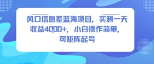 风口信息差蓝海项目，实测一天收益4k+，小白操作简单，可矩阵起号-沐风资源库