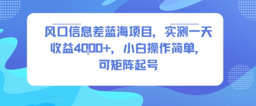 风口信息差蓝海项目，实测一天收益4k+，小白操作简单，可矩阵起号-沐风资源库