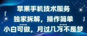 苹果手机技术服务，独家拆解，操作简单，小白可做，月过1W不是梦-沐风资源库